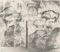 Niaux, Grotte, Salle des bisons